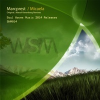 Image of Marcprest linking to their artist page due to link from them being at the top of the main table on this page