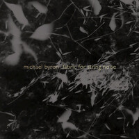 Thumbnail for the Michael Byron - Michael Byron: Fabric for String Noise link, provided by host site