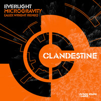 Thumbnail for the EverLight - Microgravity (Alex Wright Remix) link, provided by host site