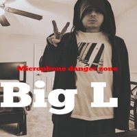 Thumbnail for the Big L - Microphone Danger Zone link, provided by host site