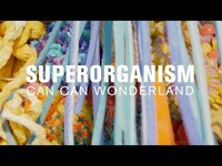Thumbnail for the Superorganism - (MicroShow for The Current) link, provided by host site