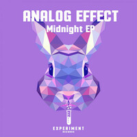 Thumbnail for the Analog Effect - Midnight link, provided by host site