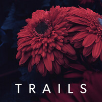 Thumbnail for the Trails - Midnight Maps link, provided by host site