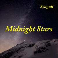 Thumbnail for the Seagull - Midnight Stars link, provided by host site