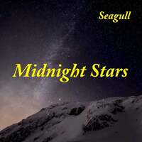 Thumbnail for the Seagull - Midnight Stars link, provided by host site