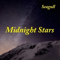 Thumbnail for the Seagull - Midnight Stars link, provided by host site