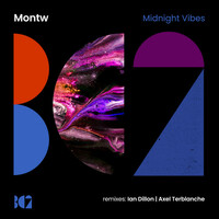 Thumbnail for the Montw - Midnight Vibes - Ian Dillon Remix link, provided by host site