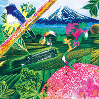 Thumbnail for the Dorian - Midori link, provided by host site