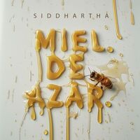 Thumbnail for the Siddhartha - Miel de Azar link, provided by host site