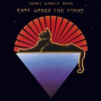 Thumbnail for the Jerry Garcia Band - Mighty High (Bonus Track) link, provided by host site