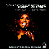 Thumbnail for the Gloria Gaynor - Mighty High (Frenk DJ & Dave Pedrini Remix) link, provided by host site