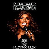 Thumbnail for the Gloria Gaynor - Mighty High (Remixes) link, provided by host site