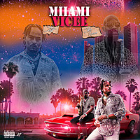 Thumbnail for the Jitt - Miiami Vicee link, provided by host site