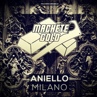 Thumbnail for the Aniello - Milano link, provided by host site