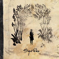 Thumbnail for the Sigur Rós - Mílanó link, provided by host site