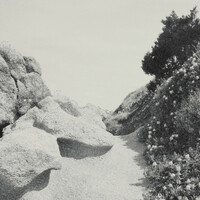 Thumbnail for the Tilman - Mild Western link, provided by host site
