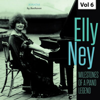 Thumbnail for the Ludwig van Beethoven - Milestones of a Piano Legend: Elly Ney, Vol. 6 link, provided by host site