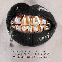 Thumbnail for the Tropkillaz - Milk & Honey (Remixes) link, provided by host site