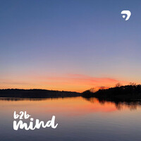 Thumbnail for the B2B - Mind link, provided by host site