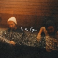 Thumbnail for the Young the Giant - Mind Over Matter (In The Open) link, provided by host site