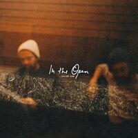 Thumbnail for the Young the Giant - Mind Over Matter (In The Open) link, provided by host site