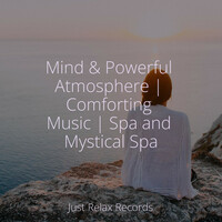 Thumbnail for the Meditation Spa - Mind & Powerful Atmosphere | Comforting Music | Spa and Mystical Spa link, provided by host site