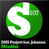 Thumbnail for the DNS Project - Mindful (Remixes) link, provided by host site