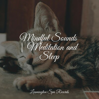 Thumbnail for the Sounds of Nature Relaxation - Mindful Sounds | Meditation and Sleep link, provided by host site