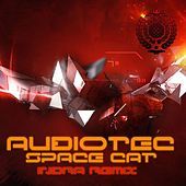 Thumbnail for the Audiotec - Minds Network Indra Remix link, provided by host site