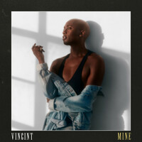 Thumbnail for the VINCINT - Mine link, provided by host site