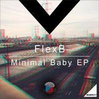 Thumbnail for the Flexb - Minimal Baby link, provided by host site