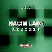 Thumbnail for the Joe Maker - Minimal Female (Nacim Ladj Remix) link, provided by host site