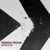 Thumbnail for the Natalino Nunes - Minitek link, provided by host site
