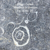 Thumbnail for the Matteo Carcassi - Minuetto in G major Op. 14 No. 20 link, provided by host site