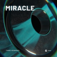 Thumbnail for the Timmo Hendriks - Miracle link, provided by host site