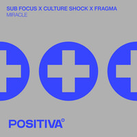 Thumbnail for the Sub Focus - Miracle link, provided by host site