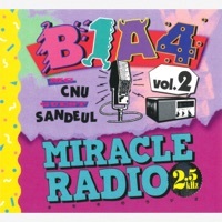Thumbnail for the B1A4 - Miracle Radio-2.5kHz-vol.2 link, provided by host site