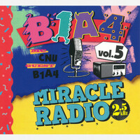 Thumbnail for the B1A4 - Miracle Radio-2.5kHz-vol.5 link, provided by host site