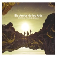 Thumbnail for the Els Amics De Les Arts - Miracles link, provided by host site