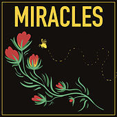Thumbnail for the La Primavera - Miracles link, provided by host site