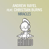 Thumbnail for the Andrew Rayel - Miracles link, provided by host site