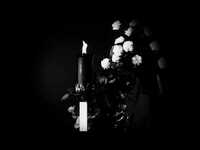 Thumbnail for the Bell Witch - Mirror Reaper (official movie trailer) link, provided by host site