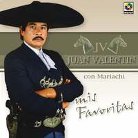 Thumbnail for the Juan Valentin - Mis Favoritas link, provided by host site