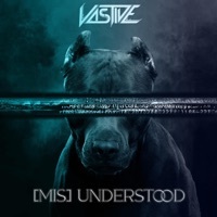 Thumbnail for the Vastive - (Mis)Understood link, provided by host site