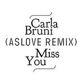 Thumbnail for the Carla Bruni - Miss You (Aslove Remix) link, provided by host site