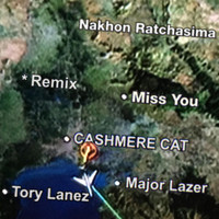 Thumbnail for the Cashmere Cat - Miss You (Remixes) link, provided by host site