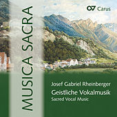 Thumbnail for the Rastatt Vocal Ensemble - Missa in G Major, Op. 151 "St. Crucis": Agnus Dei link, provided by host site