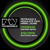 Thumbnail for the Petruccio - Missing / Escape Remix link, provided by host site
