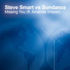 Thumbnail for the Steve Smart - Missing You link, provided by host site