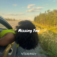 Thumbnail for the Viceroy - Missing You link, provided by host site